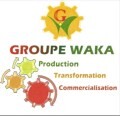 LOGO_GROUPE WAKA