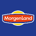 LOGO_EgeSun GmbH / MorgenLand / ONE NATURE organic