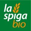 LOGO_ALBIO SRL
