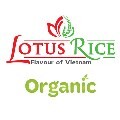LOGO_Lotus Rice Co., Ltd