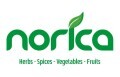 LOGO_North Africa for Food Industries (NORICA)