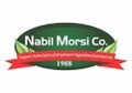 LOGO_NABIL MORSI CO
