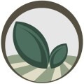LOGO_Moldova Organic Value Chain Alliance (MOVCA)