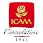 LOGO_ICAM S.p.A.