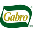 LOGO_GABRO SRL