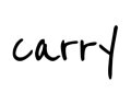 LOGO_Carry Products GmbH