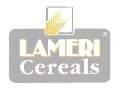 LOGO_LAMERI S.P.A.