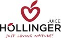 LOGO_IMS Höllinger GmbH