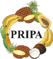 LOGO_PRIPA Exotic Fruchtimport GmbH