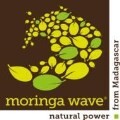 LOGO_Moringa Wave
