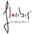 LOGO_FLORIBIS SARL LOT IVF 4 FITROAFANA TALATAMATY IVATO