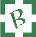 LOGO_BERNAM & PARTNERS SRL