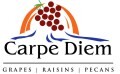 LOGO_Carpe Diem Raisins