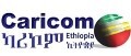 LOGO_Caricom Ethiopia Import Export PLC