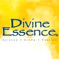 LOGO_Union Nature / Divine Essence