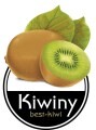 LOGO_Kiwiny Srl