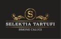 LOGO_SELEKTIA TARTUFI