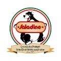 LOGO_Saladine Srl