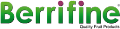 LOGO_Berrifine