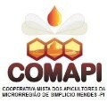 LOGO_Cooperativa Mista dos Apicultores da Microrregião de Simplício Mendes - COMAPI