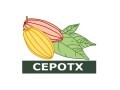LOGO_COOPERATIVA CENTRAL DE PRODUÇÂO ORGÂNICA DA TRANSAMAZÔNICA E XINGU - CEPOTX