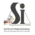 LOGO_SATYA INTERNATIONAL
