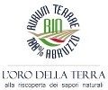 LOGO_Aurum Terrae