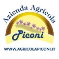 LOGO_AZIENDA AGRICOLA PICONI