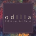 LOGO_odilia
