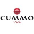 LOGO_CUMMO VINI