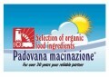 LOGO_Padovana Macinazione Srl