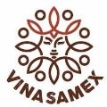 LOGO_VINASAMEX., JSC