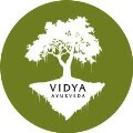LOGO_VIDYA