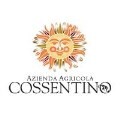 LOGO_Cossentino
