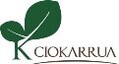 LOGO_Ciokarrua s.r.l.