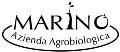LOGO_AZIENDA AGRICOLA MARINO MAURIZIO
