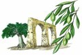 LOGO_Antico Frantoio sas di Murgia Antonella & C.