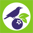 LOGO_AMC Yahidky (BigBlue organic blueberry farm)