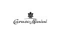 LOGO_CARUSO & MININI SRL