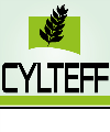 LOGO_CYLTEFF SL