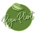 LOGO_SC REGIU PLANT SRL