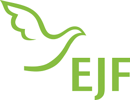 LOGO_EJF gemeinnützige AG