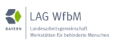LOGO_LAG WfbM Bayern e.V. c/o inclusion cube Bayern e. V.
