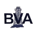 LOGO_BVA Inc