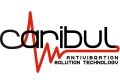 LOGO_CARIBUL Srl
