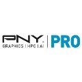 LOGO_PNY Technologies Quadro GmbH