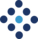 LOGO_Intrinsic ID