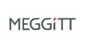 LOGO_Meggitt Training Systems