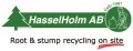 LOGO_HasselHolm AB