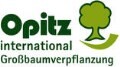 LOGO_Opitz GmbH & Co. KG Großbaumverpflanzung